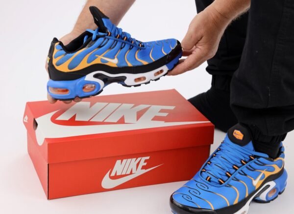 Кроссовки мужские Nike Air Max Tn+ Blue