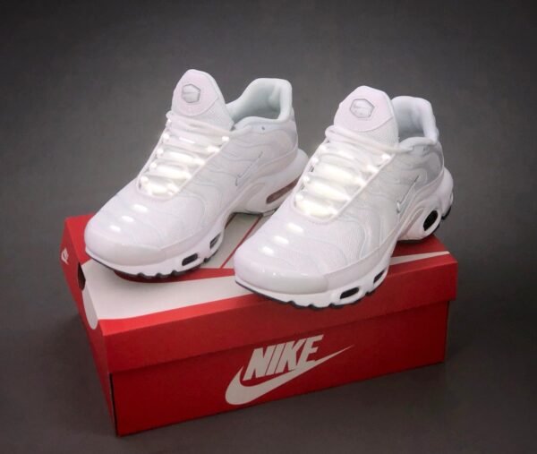Кроссовки мужские Nike Air Max Tn+ White