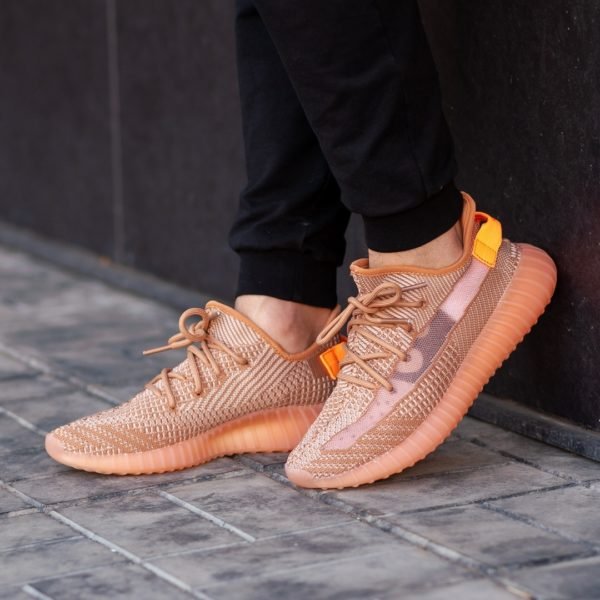 Adidas Yeezy boost 350 v2 clay