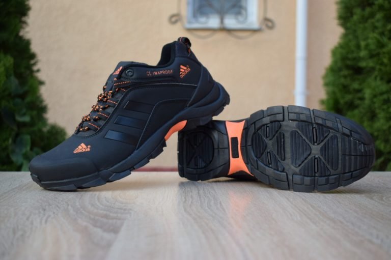 Р‘РѕС‚РёРЅРєРё adidas Terrex Climaproof 2019