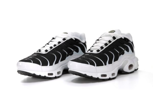 Кроссовки мужские Nike Air Max TN Plus White Black