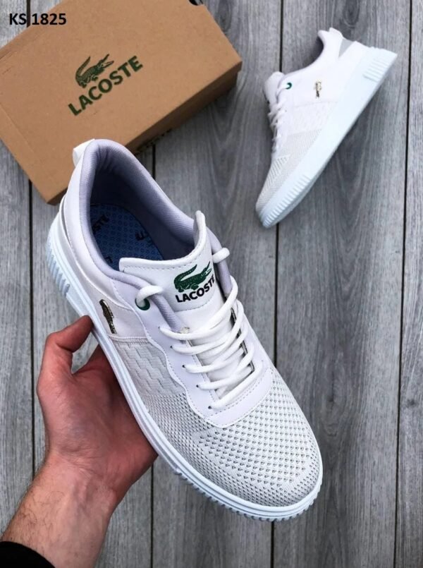 Кроссовки мужские Lacoste White