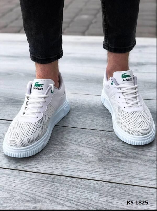 Кроссовки мужские Lacoste White