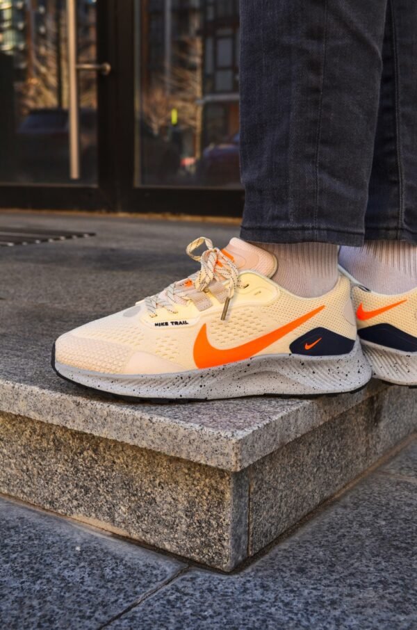 Кроссовки мужские Nike Pegasus Trail 3