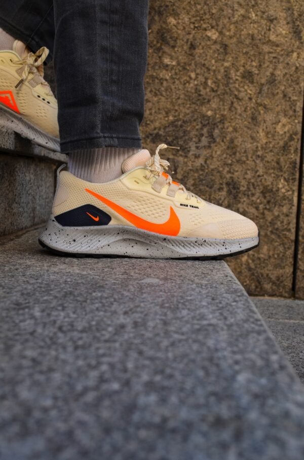 Кроссовки мужские Nike Pegasus Trail 3