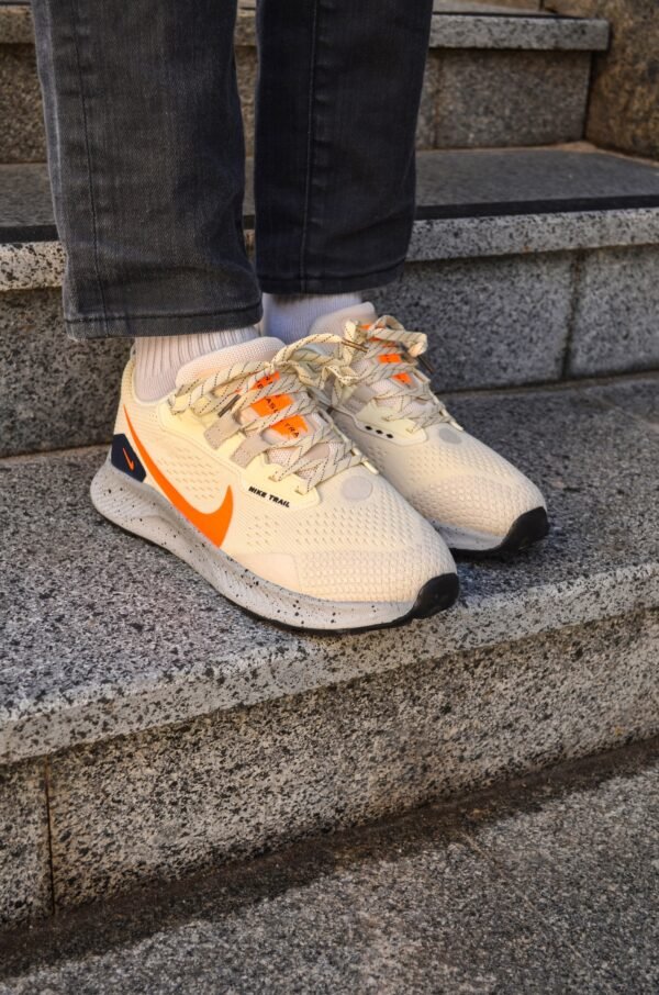 Кроссовки мужские Nike Pegasus Trail 3