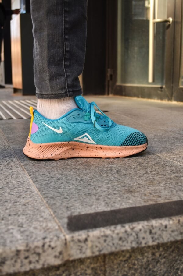 Кроссовки мужские Nike Pegasus Trail 3 Blue