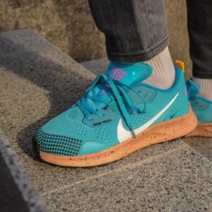 Кроссовки мужские Nike Pegasus Trail 3 Blue