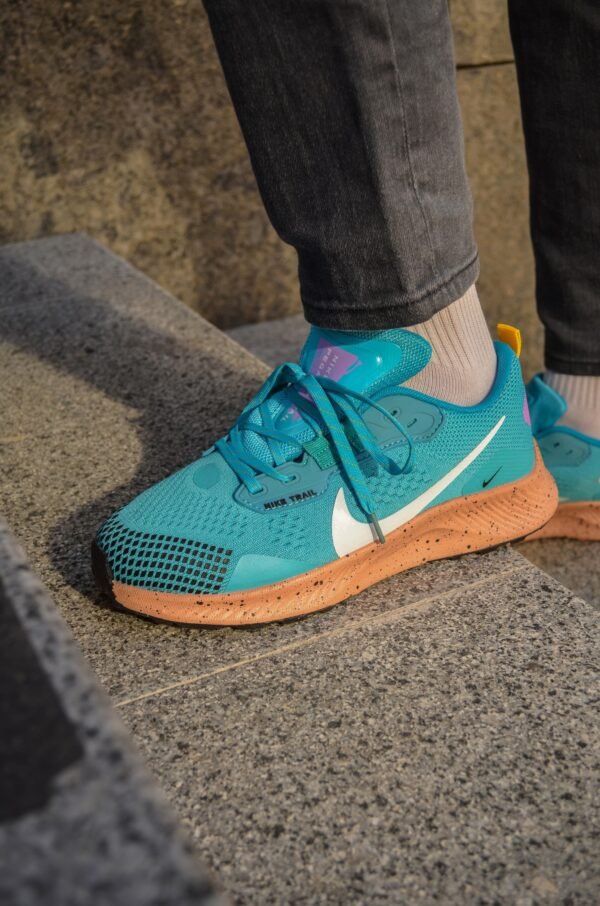 Кроссовки мужские Nike Pegasus Trail 3 Blue