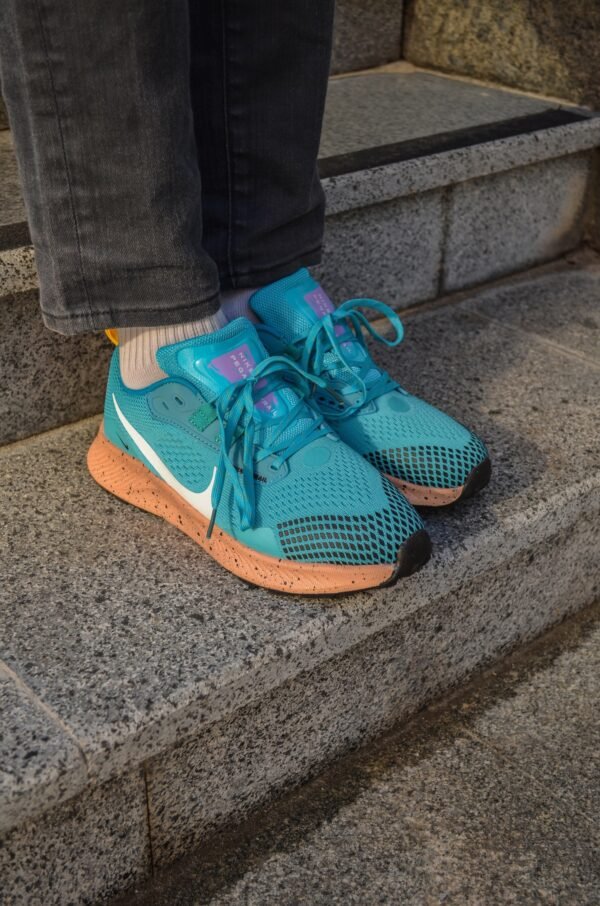 Кроссовки мужские Nike Pegasus Trail 3 Blue