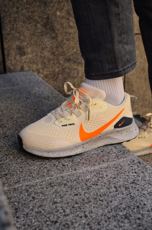 Кроссовки мужские Nike Pegasus Trail 3