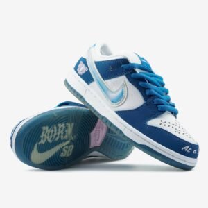 Кроссовки Nike SB Dunk Low Born X Raised